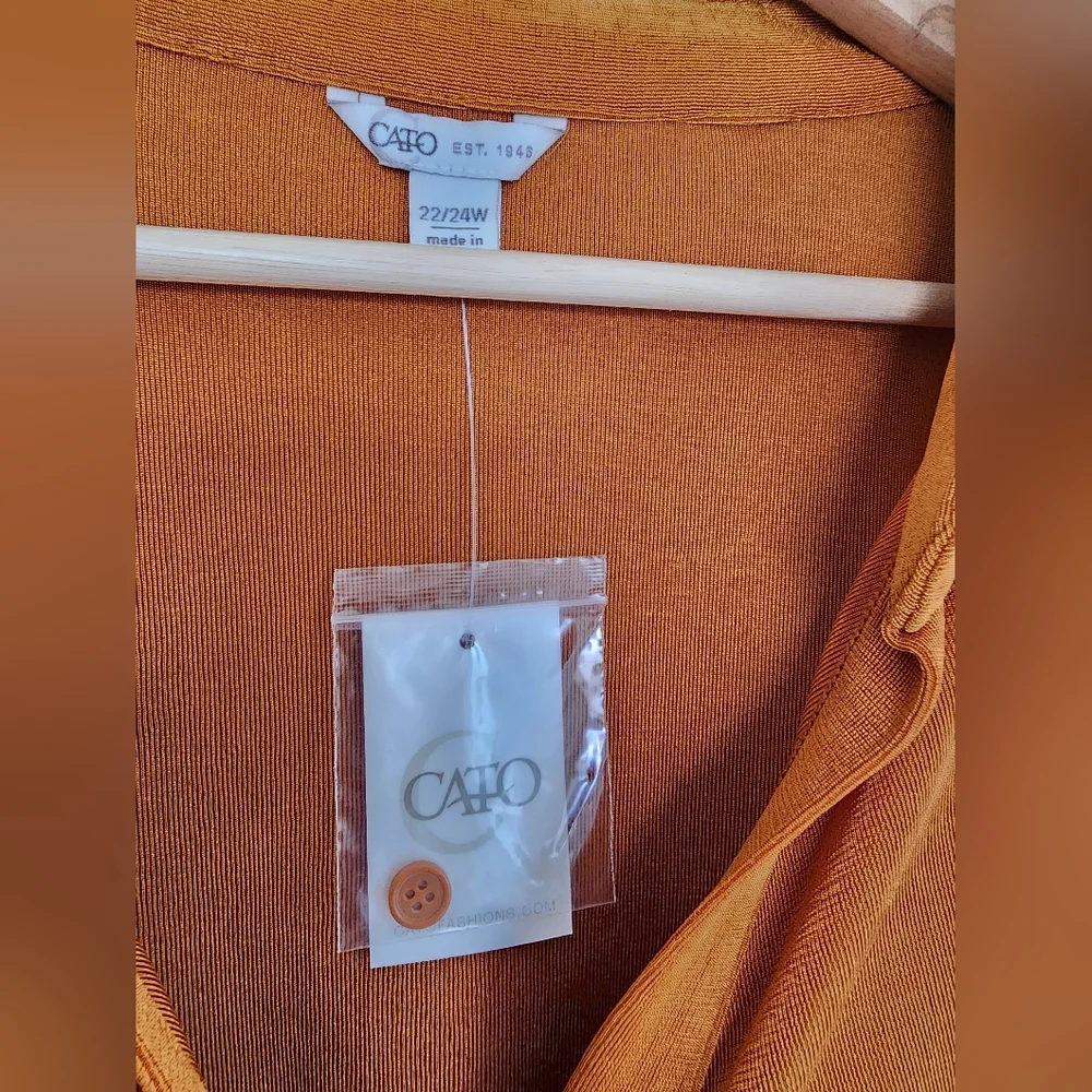 Cato Rive Gauche Pumpkin Spice Top Plus 22/24W Boho Y2K Button Front Fall Blouse - Picture 3 of 6